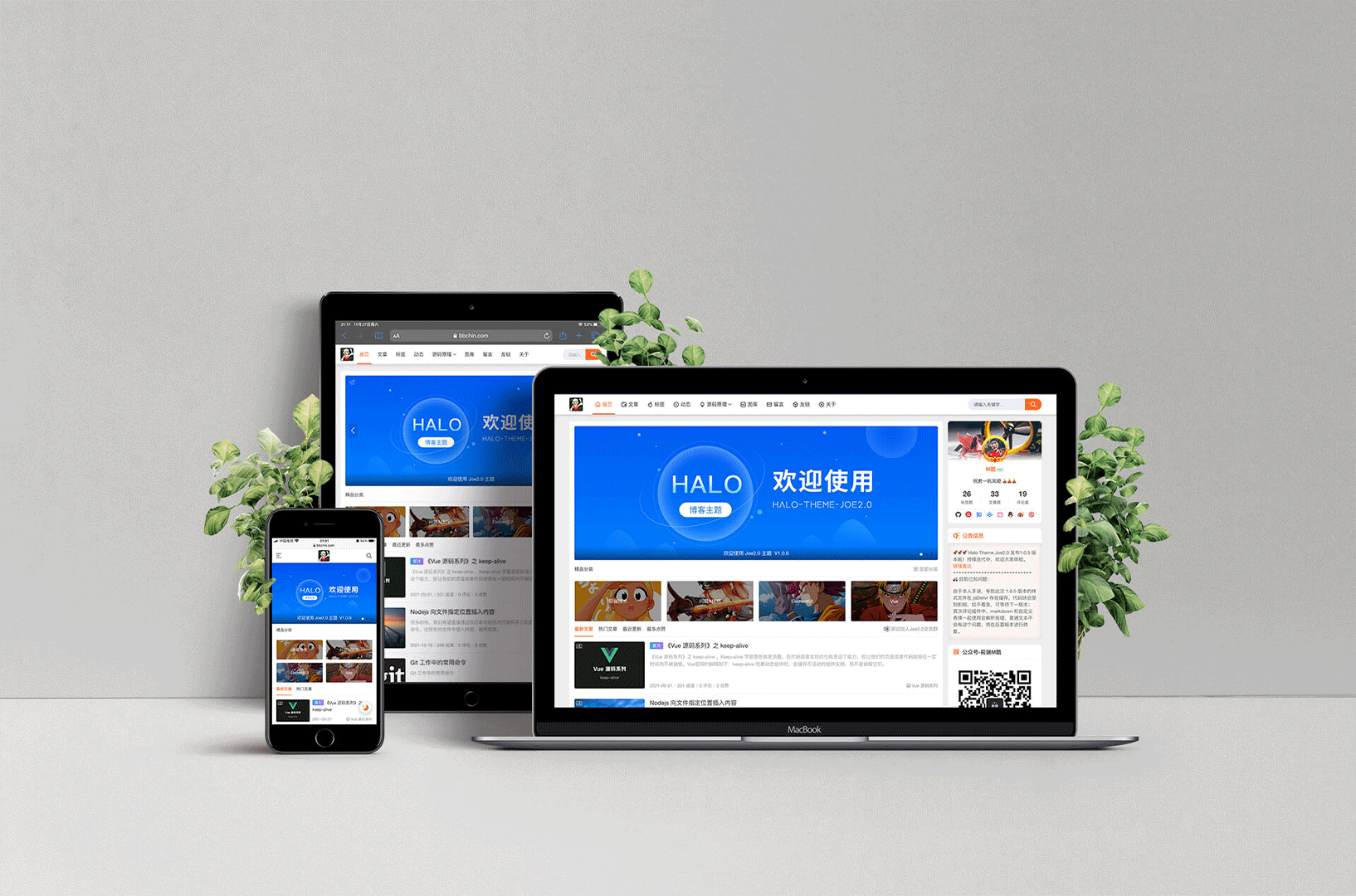 Joe主题样式使用手册指南